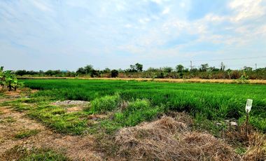 ขาย ที่ดิน ใน ธัญบุรี, ปทุมธานี