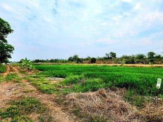 For sale land in Thanyaburi, Pathum Thani