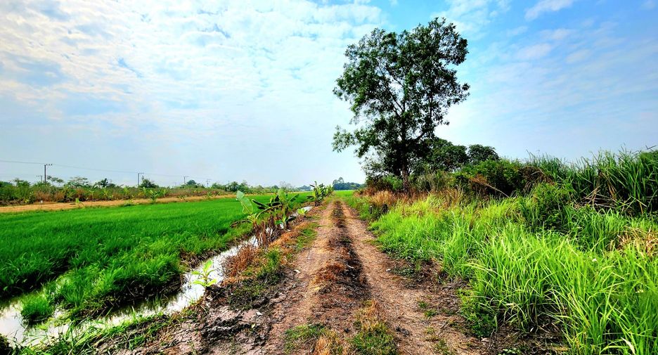 ขาย ที่ดิน ใน ธัญบุรี, ปทุมธานี