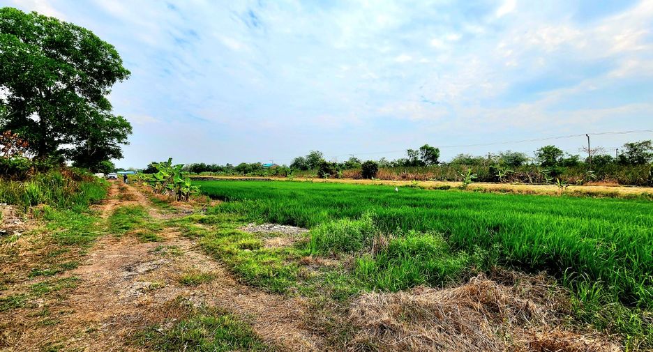 ขาย ที่ดิน ใน ธัญบุรี, ปทุมธานี