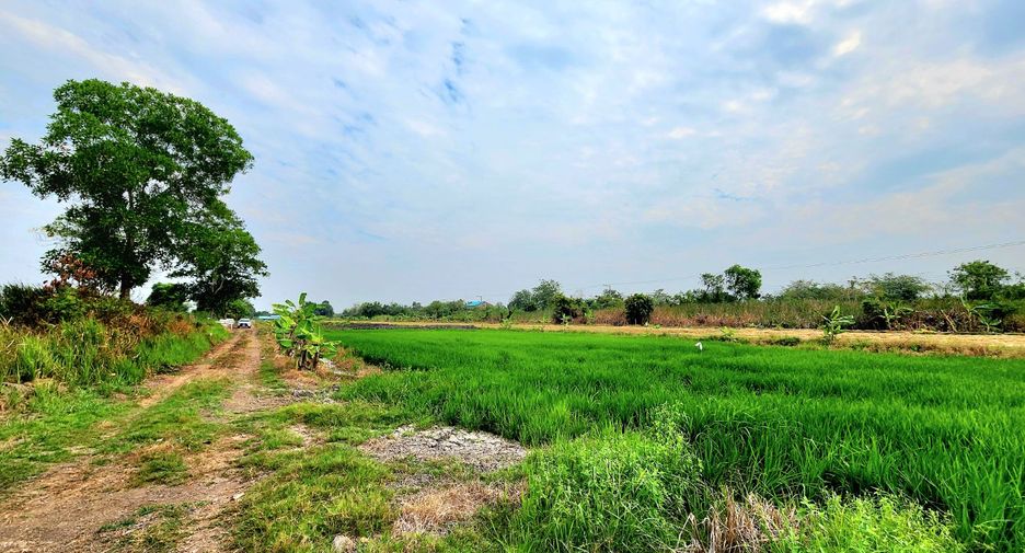 ขาย ที่ดิน ใน ธัญบุรี, ปทุมธานี