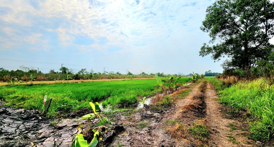 ขาย ที่ดิน ใน ธัญบุรี, ปทุมธานี