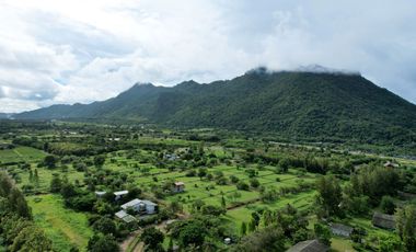 Terreno en venta en Pak Chong, Nakhon Ratchasima