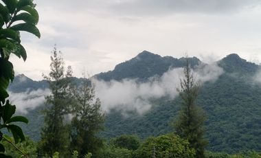 Terreno en venta en Pak Chong, Nakhon Ratchasima