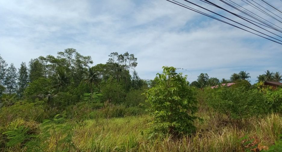 For sale land 