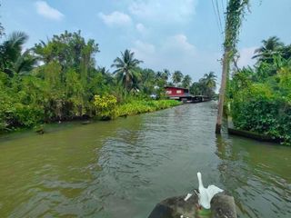 For sale 11 bed house in Damnoen Saduak, Ratchaburi