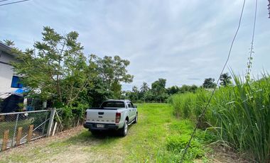 ขาย ที่ดิน ใน แม่ริม, เชียงใหม่