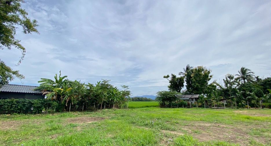 À vendre terrain à Mae Rim, Chiang Mai