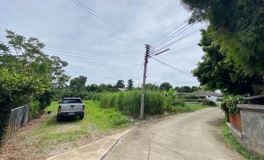 ขาย ที่ดิน ใน แม่ริม, เชียงใหม่