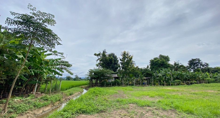 À vendre terrain à Mae Rim, Chiang Mai
