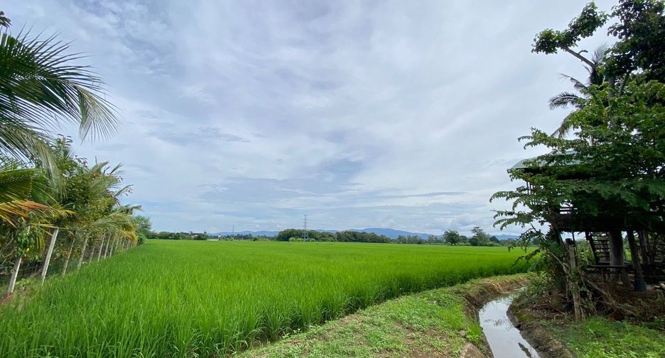À vendre terrain à Mae Rim, Chiang Mai