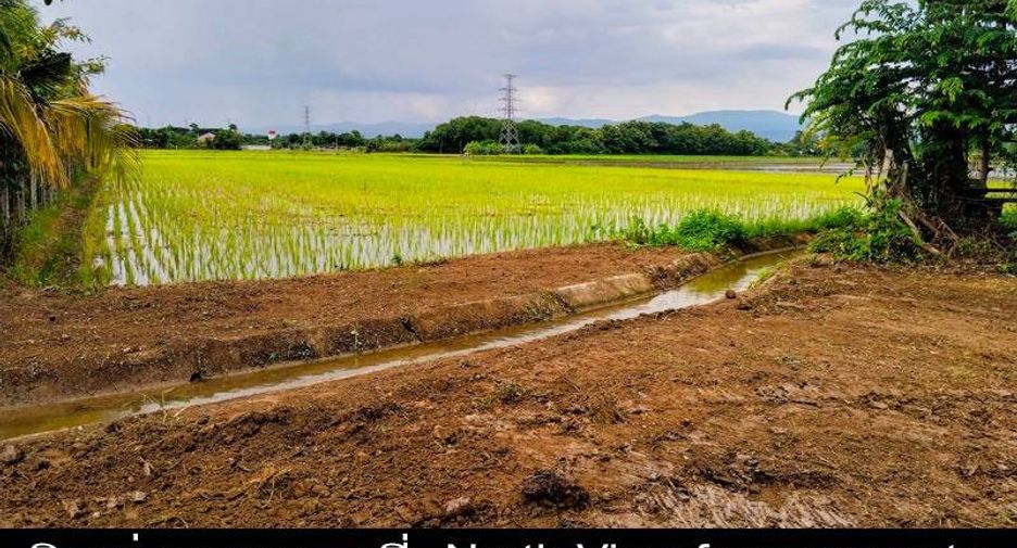 À vendre terrain à Mae Rim, Chiang Mai