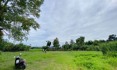 ขาย ที่ดิน ใน แม่ริม, เชียงใหม่