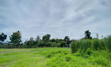 ขาย ที่ดิน ใน แม่ริม, เชียงใหม่