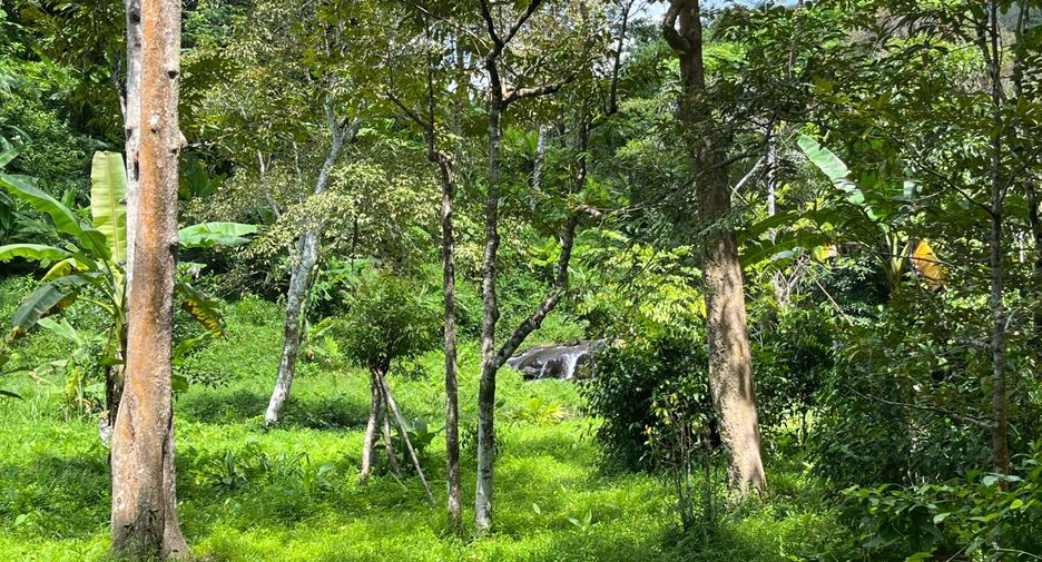 For sale land in Thalang, Phuket