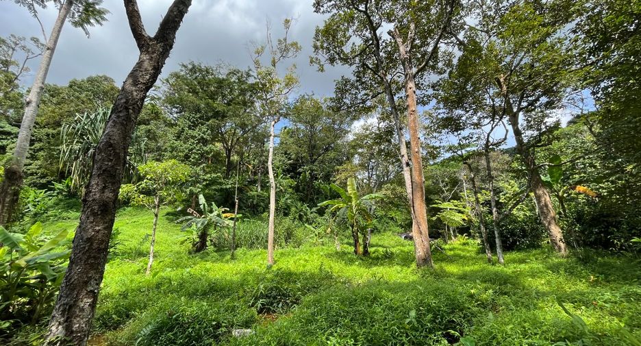 For sale land in Thalang, Phuket