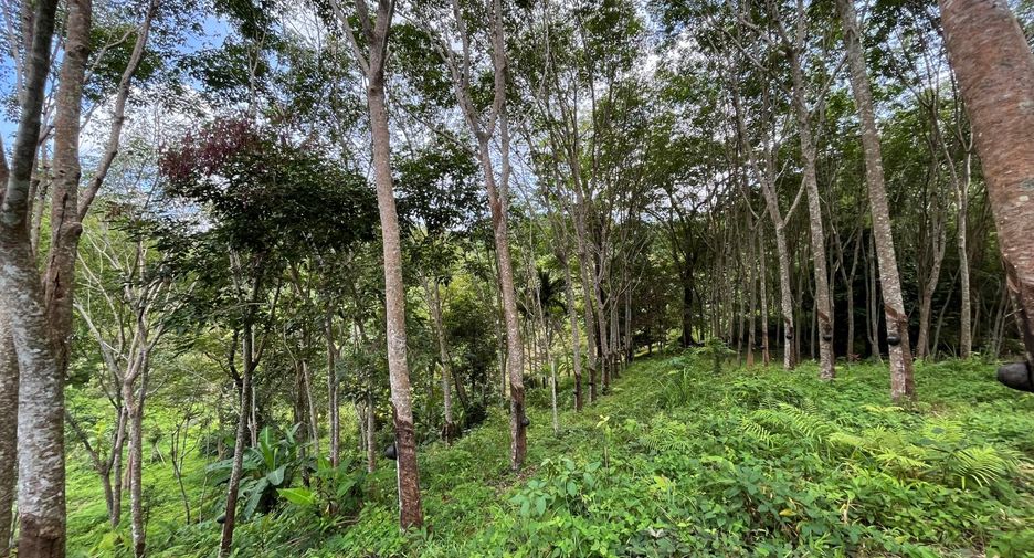 For sale land in Thalang, Phuket