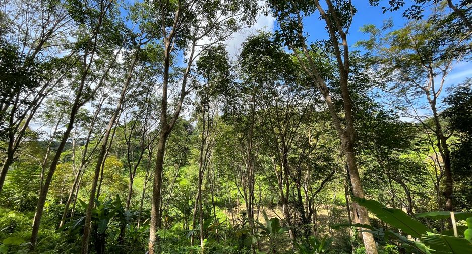 For sale land in Thalang, Phuket