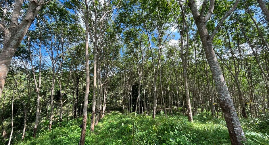 For sale land in Thalang, Phuket