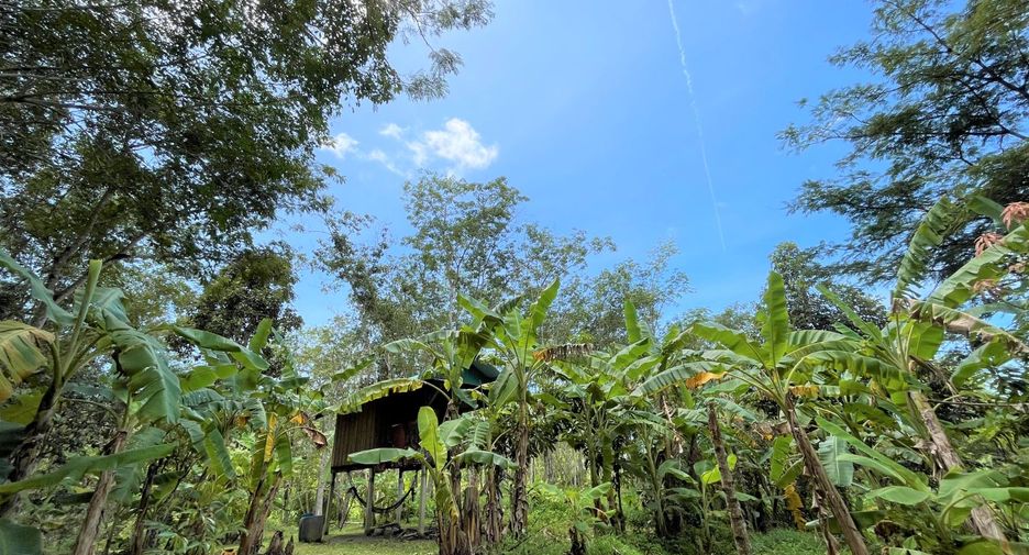 For sale land in Thalang, Phuket