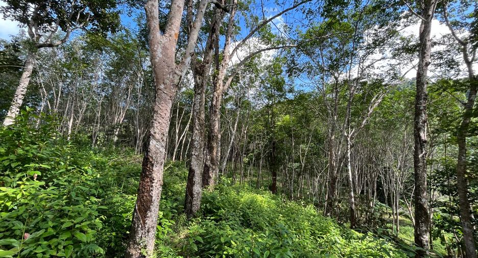 For sale land in Thalang, Phuket