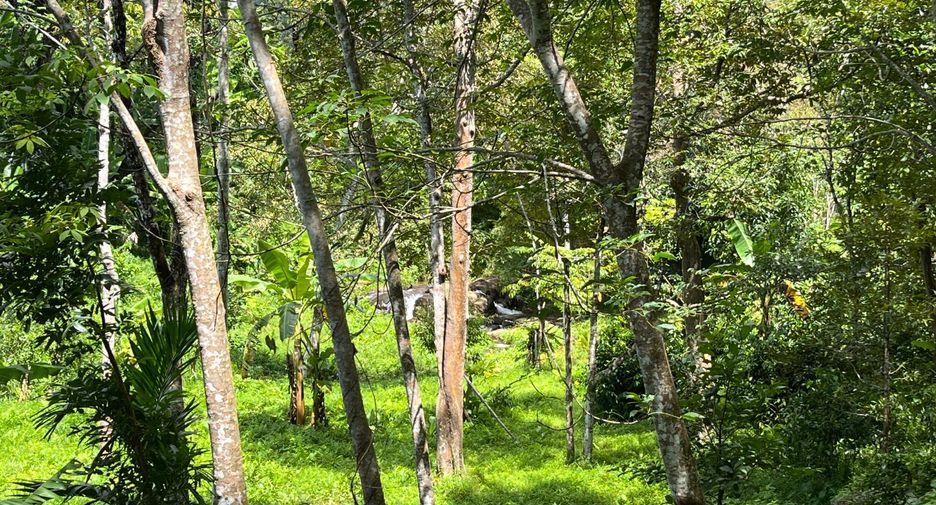 For sale land in Thalang, Phuket