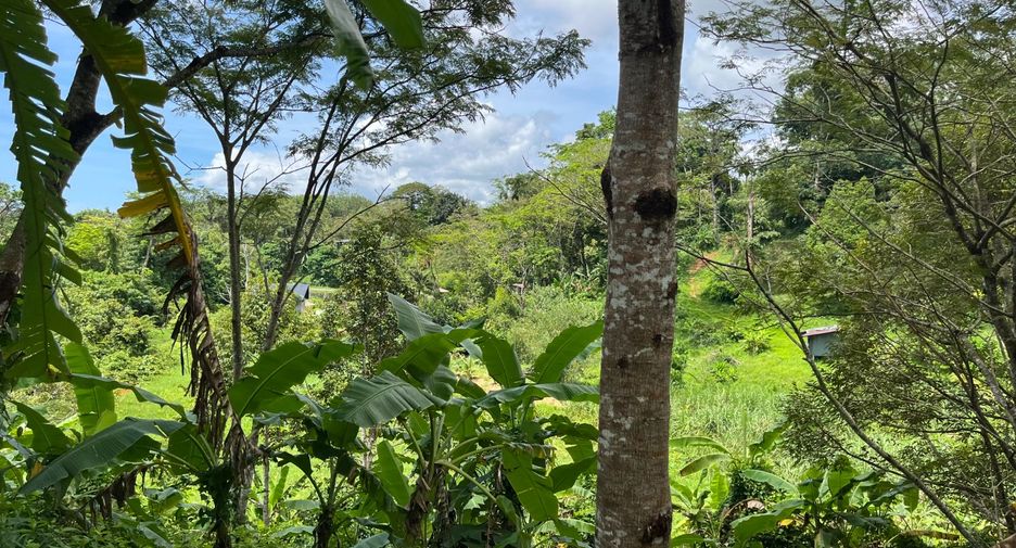For sale land in Thalang, Phuket