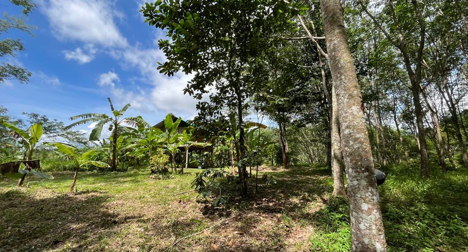 For sale land in Thalang, Phuket