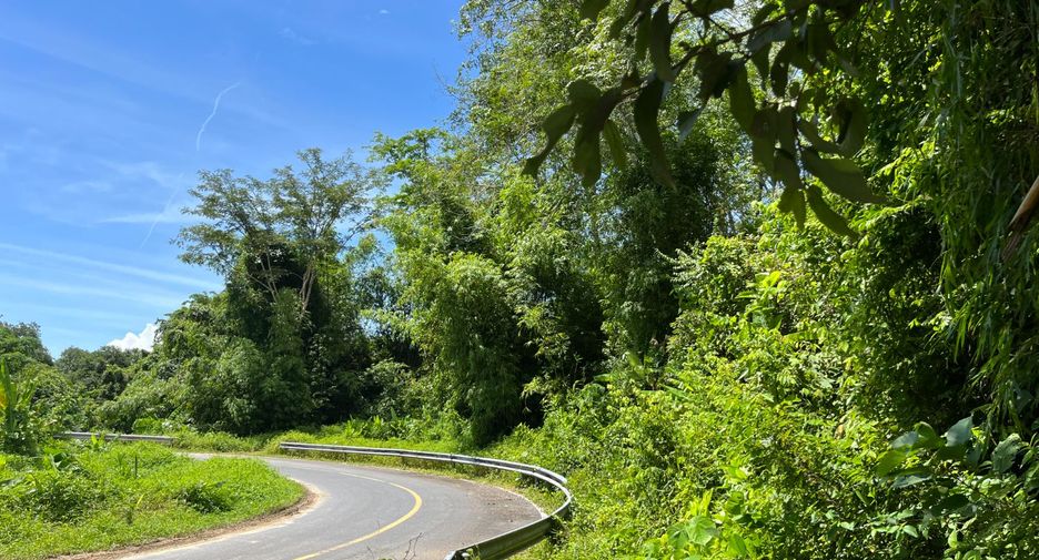 For sale land in Thalang, Phuket