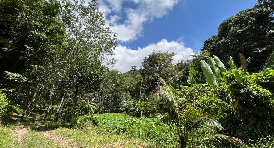 For sale land in Thalang, Phuket