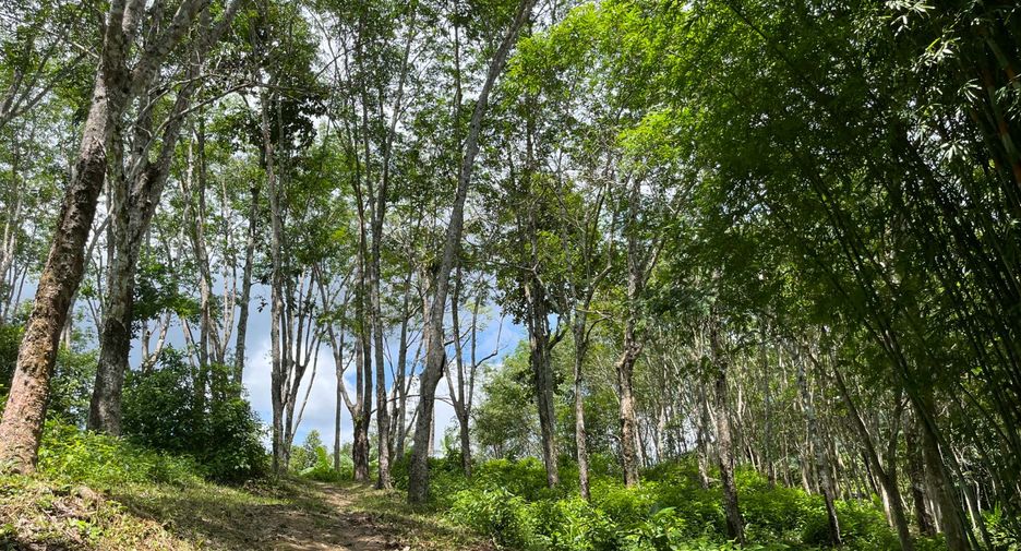 For sale land in Thalang, Phuket