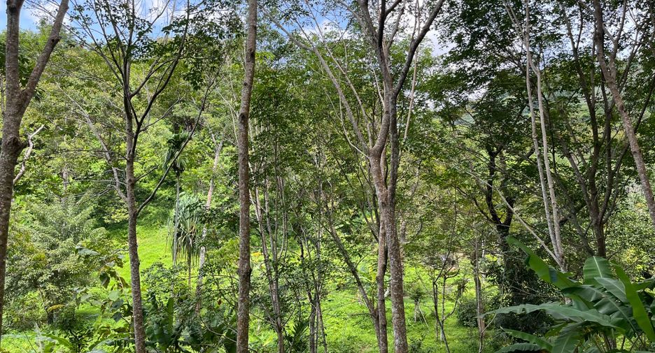 For sale land in Thalang, Phuket