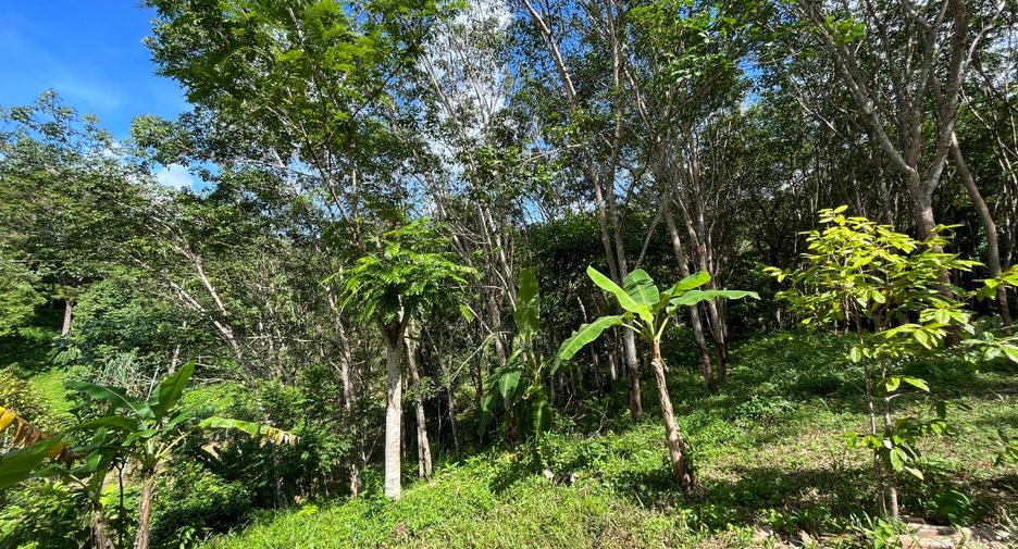 For sale land in Thalang, Phuket
