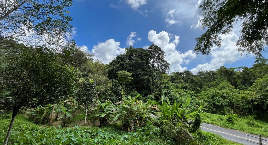 For sale land in Thalang, Phuket