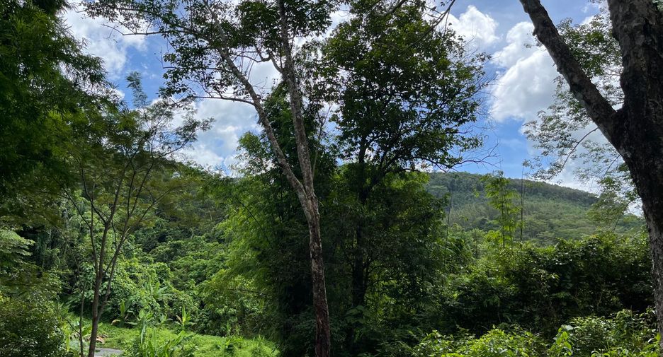 For sale land in Thalang, Phuket