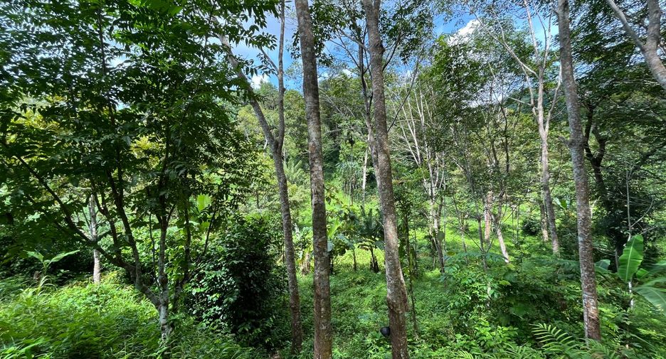 For sale land in Thalang, Phuket