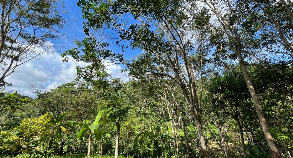 For sale land in Thalang, Phuket