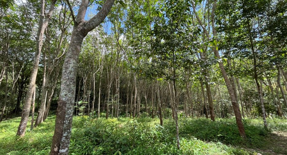 For sale land in Thalang, Phuket