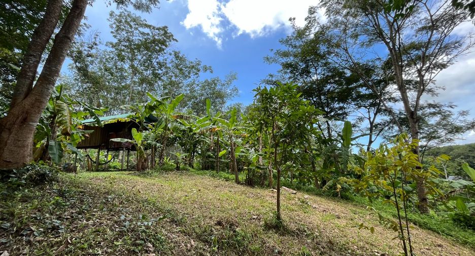 For sale land in Thalang, Phuket