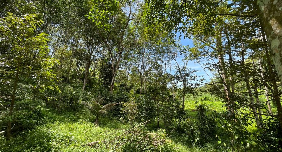 For sale land in Thalang, Phuket