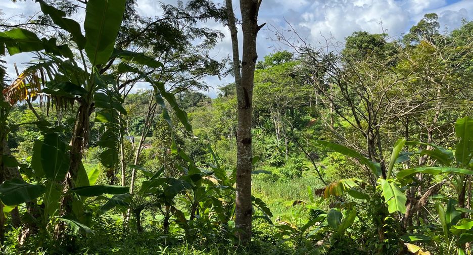 For sale land in Thalang, Phuket
