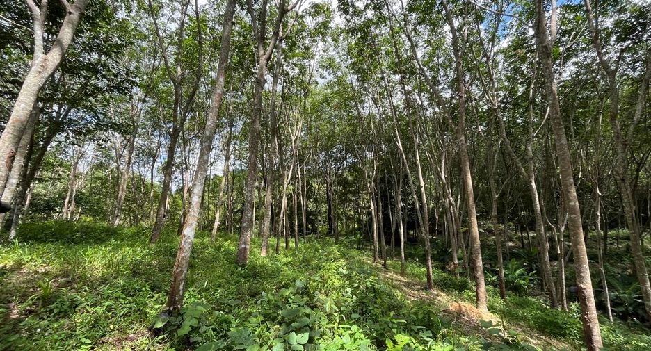 For sale land in Thalang, Phuket