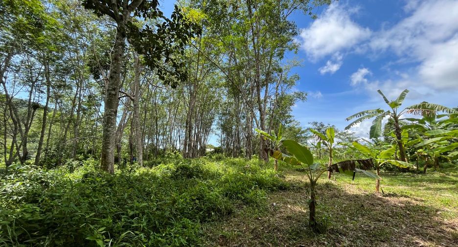For sale land in Thalang, Phuket