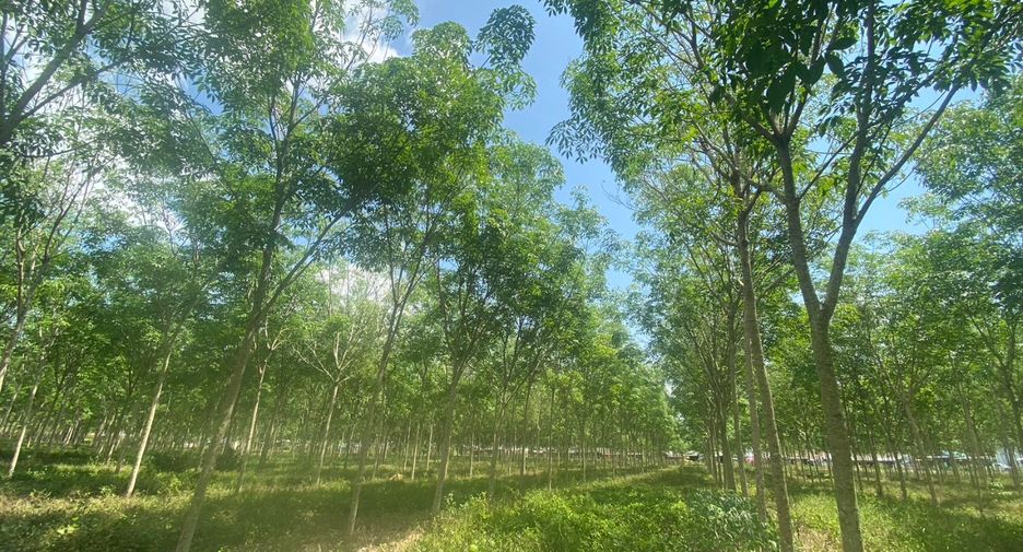 Terreno en venta en Thalang, Phuket