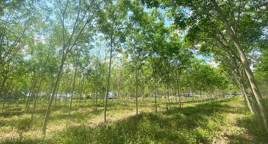 Terreno en venta en Thalang, Phuket