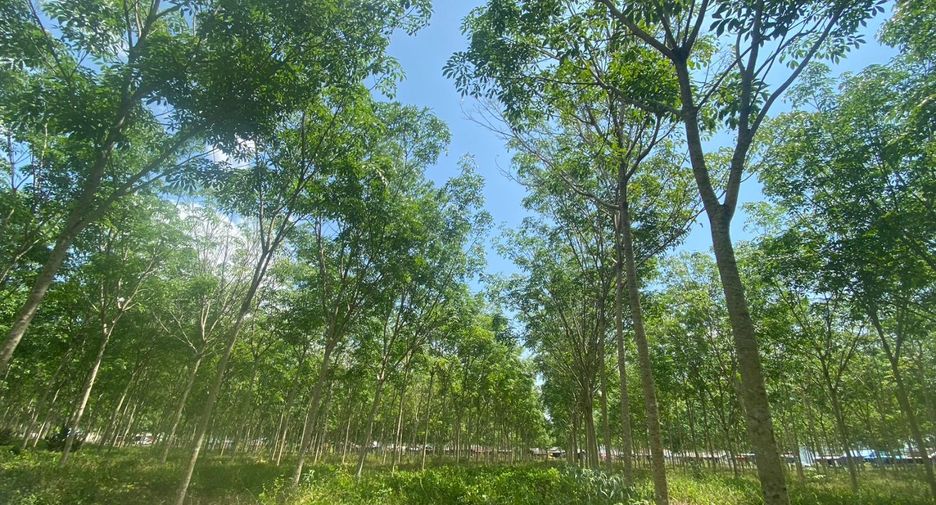 Terreno en venta en Thalang, Phuket
