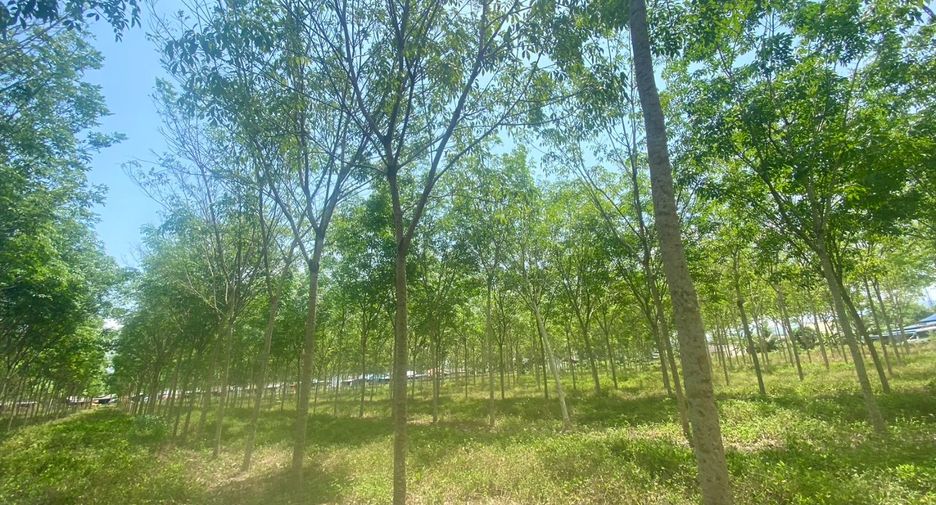 Terreno en venta en Thalang, Phuket
