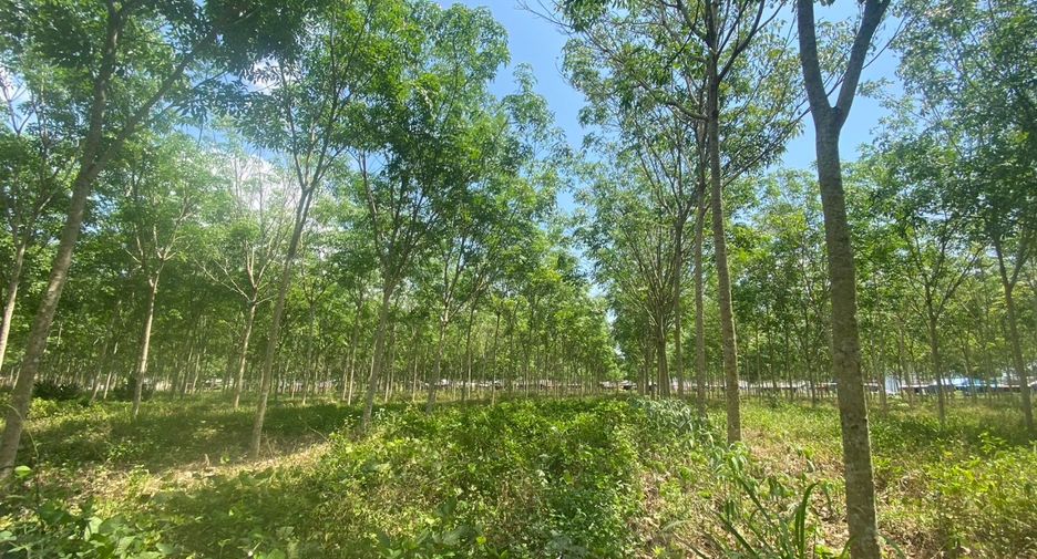 Terreno en venta en Thalang, Phuket