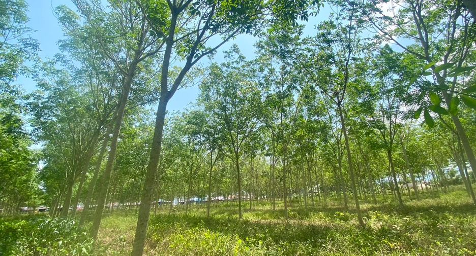 Terreno en venta en Thalang, Phuket