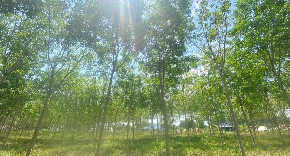 Terreno en venta en Thalang, Phuket